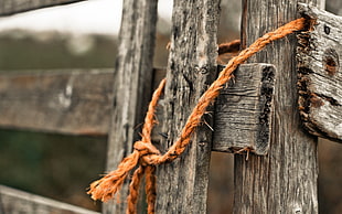 selective focus photography of brown rope tied on wood HD wallpaper