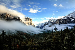 mountain covered by fog under blue calm sky