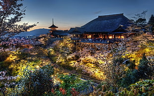 aerial photography of temple surrounded with flowers and plants, photography, trees, urban, cityscape