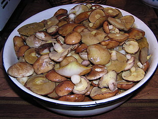 mushrooms on white bowl