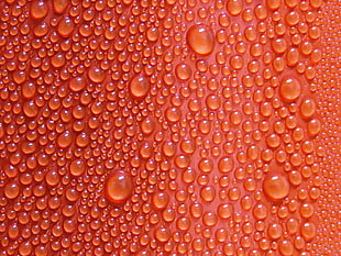 water dew, Texture, Drops, Surface HD wallpaper