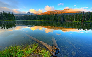 blue body of water, nature, landscape, lake, forest