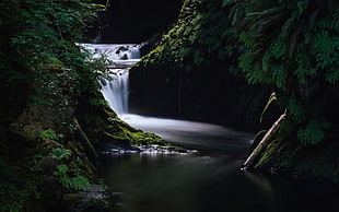 time lapse photography of waterfall