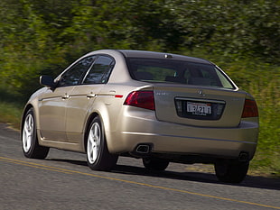 beige-metallic Acura TL sedan near green leaf plants HD wallpaper