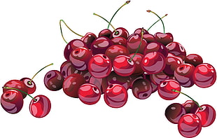 bunch of cherries illustration HD wallpaper