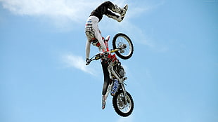 man riding motocross doing tricks in mid air HD wallpaper