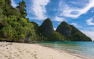 green mountain and seashore, nature, landscape, beach, tropical