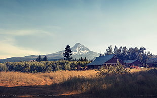 green grass field, landscape, Greg Martin, nature, mountains