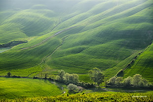 aerial view of green plains, asciano HD wallpaper