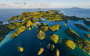 aerial photography of green island, landscape, nature, island, tropical