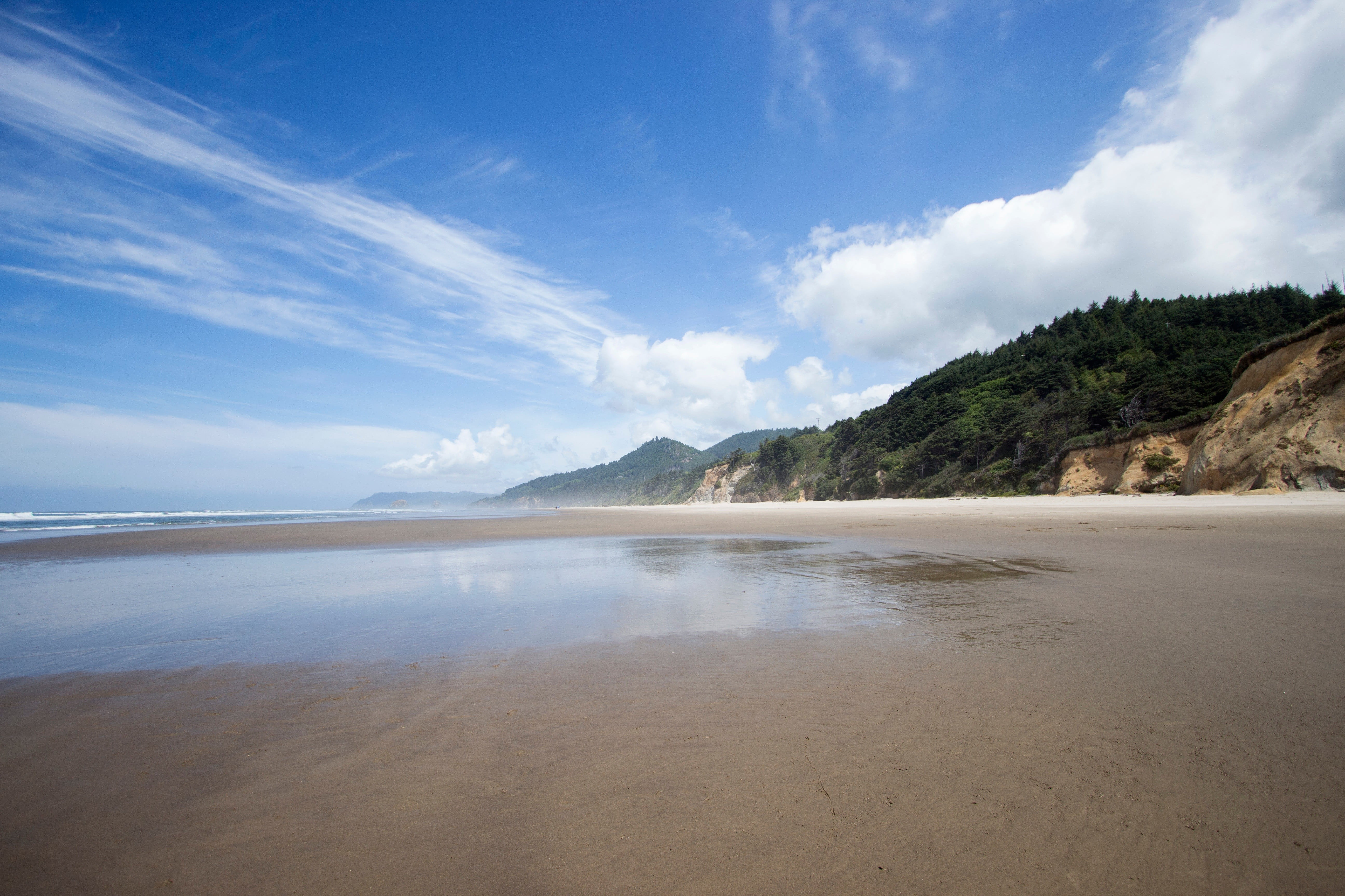 landscape photo of beach under cloudy sky, nature, water, beach, trees