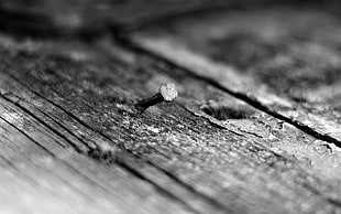 nail on brown wooden plank HD wallpaper