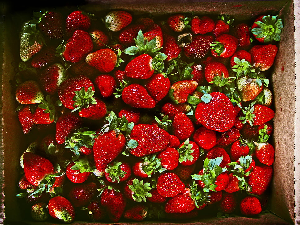 box of strawberries, Strawberries, Berries, Ripe HD wallpaper