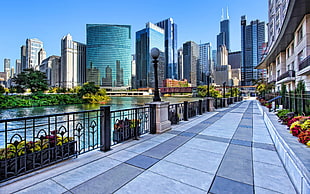 white and black concrete building, Chicago