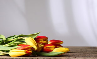 yellow and red Tulip flower bouquet HD wallpaper