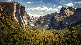 brown rock mountain, nature, landscape, trees, mountains