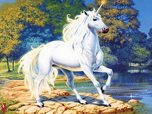 white unicorn illustration, fantasy art, unicorn HD wallpaper