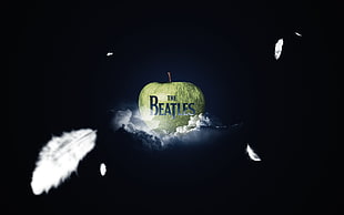 green apple with The Beatles logo HD wallpaper