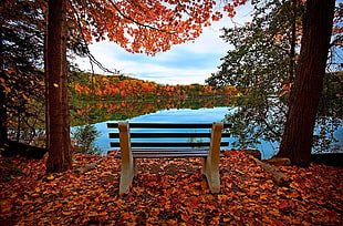 brown garden bench beside lake during daytime HD wallpaper