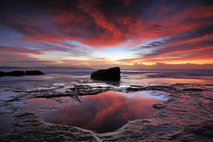 Bird's eye view of body of water during sunset, whale