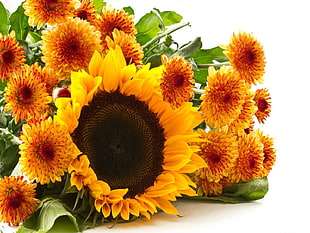 Sunflower bouquet