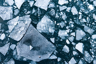 Ice,  Ice floe,  Water HD wallpaper
