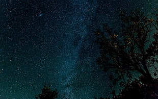 starry sky phot HD wallpaper