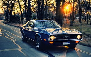 car travelling during golden hour