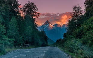 gray asphalt road, nature, landscape, mountains, Andes 