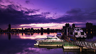 white and purple personal watercraft beside dock