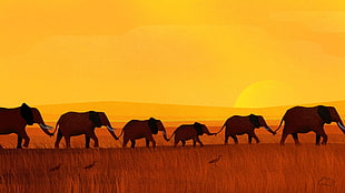 six gray elephants, digitalocean, elephant