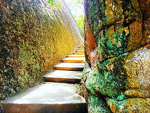 gray concrete stair, Sri Lanka, nature, sea, road