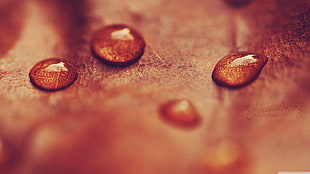 water drop on brown surface in tilt photo HD wallpaper