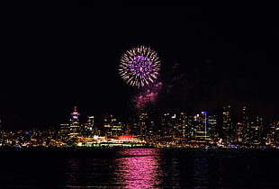 purple and yellow fireworks