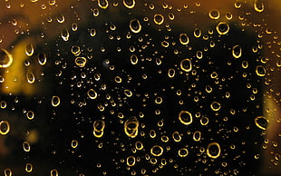 macro photography of dew glass HD wallpaper