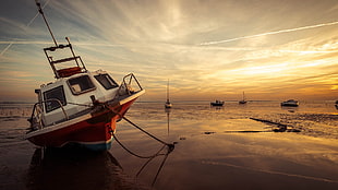 white and red motor boat, boat, sunset, sky, sea HD wallpaper