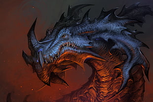 gray dragon illustration HD wallpaper