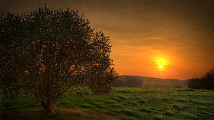 Photo of Sunrise HD wallpaper