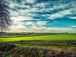 green grass field under blue and white sky, leicestershire HD wallpaper