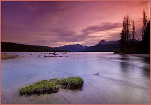 lake in forest during nighttime