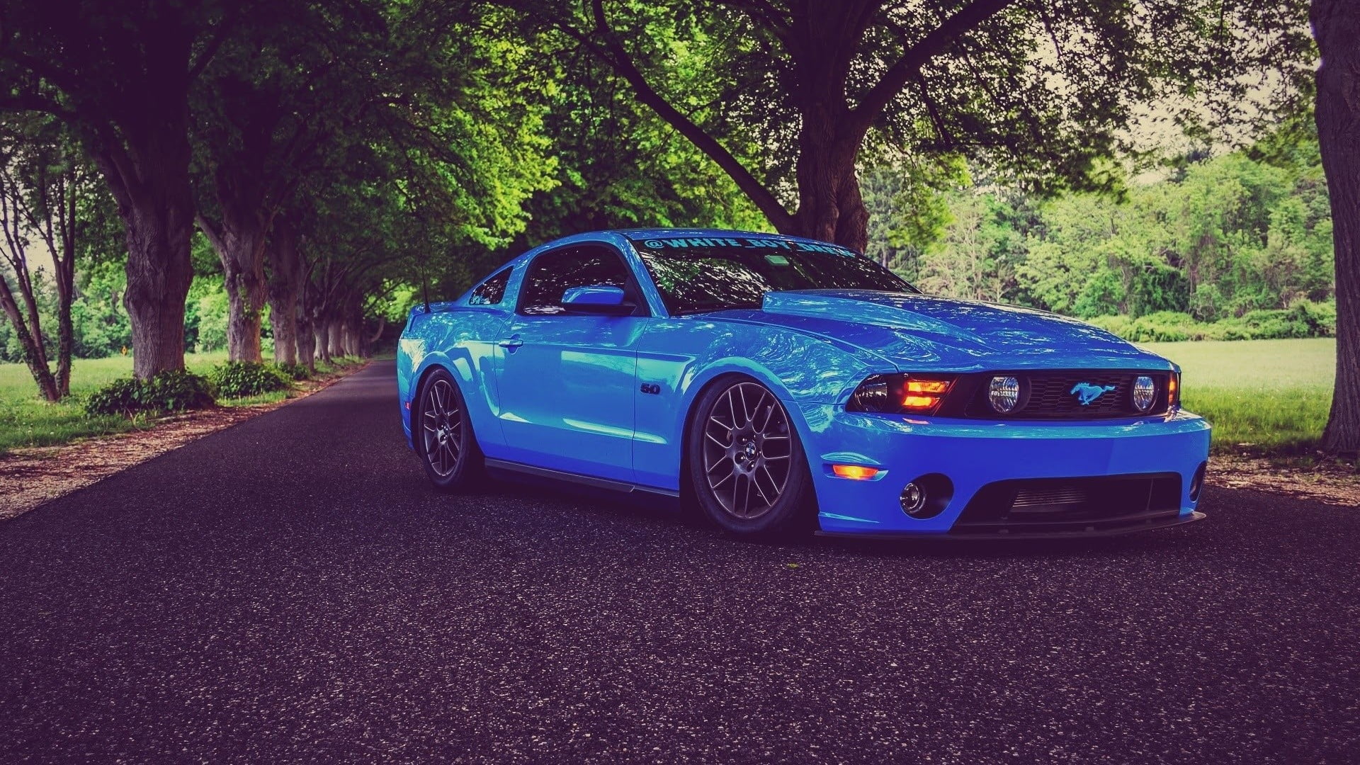 blue Ford Mustang coupe, car, Ford Mustang, blue cars