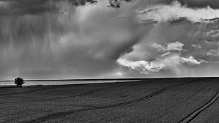 grayscale photo of grass field, nature, trees, monochrome, field