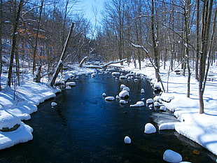 ice melting on river during winter HD wallpaper