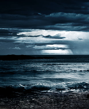 seashore and cloudy sky photography