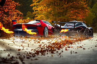 two black and red sport car racing on gray pavement road HD wallpaper