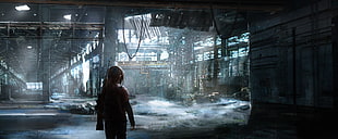 person carrying rifle poster, The Last of Us, video games HD wallpaper