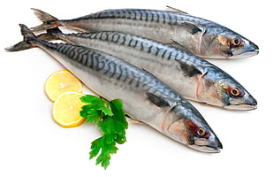 three raw fishes with celery and sliced of lemon