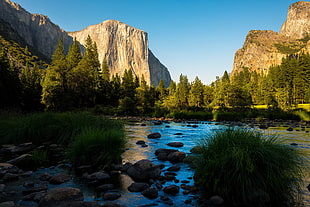 river and rock formations, nature, forest, mountains