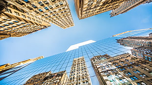 blue high-rise buiding, New York City, Manhattan, modern, USA