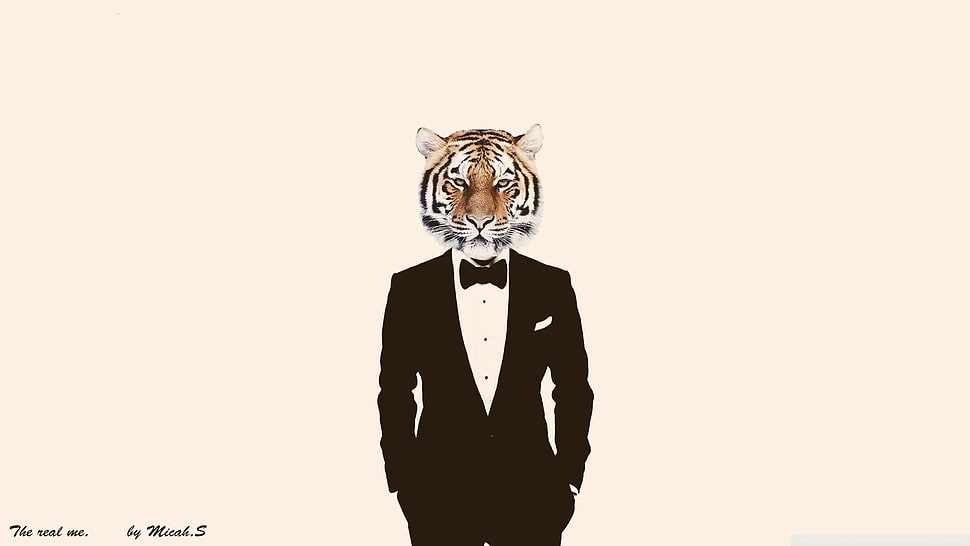 person wearing suit with lion head art, photo manipulation, tiger, suits HD wallpaper